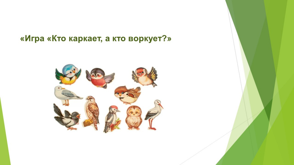 Слайд5.JPG