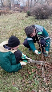  Профессиональная викторина
