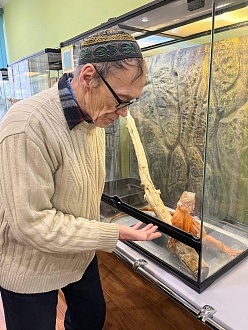 Превью фото