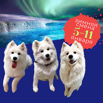 Превью фото